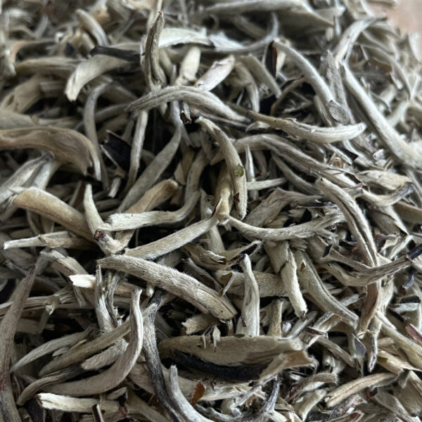 Silver Needle – Herbata Biała Premium - obrazek 2